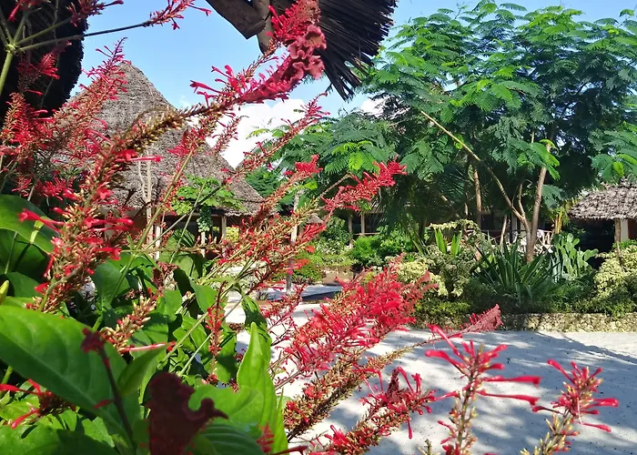 Marafiki Bungalows