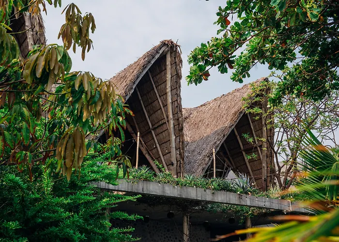 Puro Surf Hotel & Performance Academy