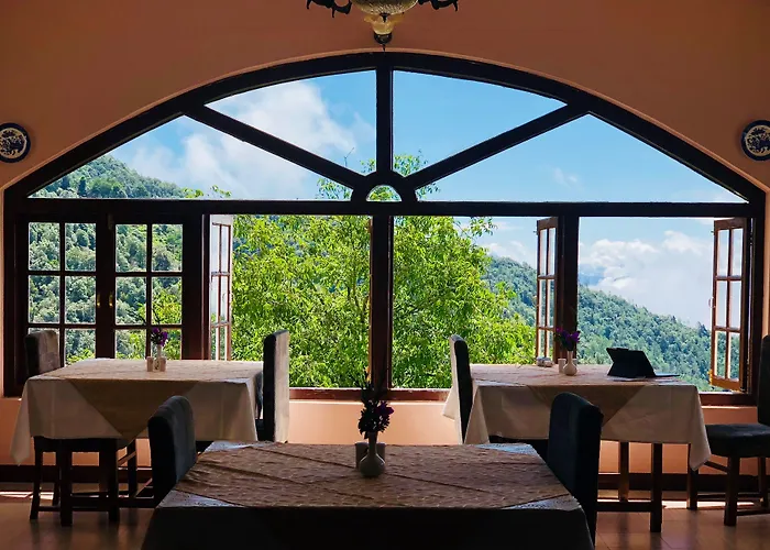 Tree Of Life Grand Oak Manor, Binsar