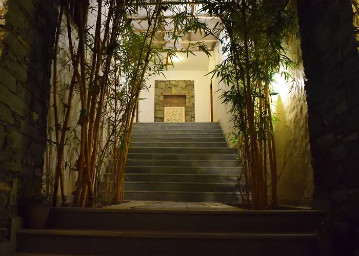 Kumbhalgarh Forest Retreat