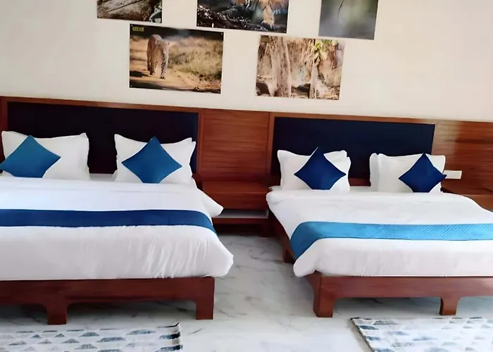 The Van Resort