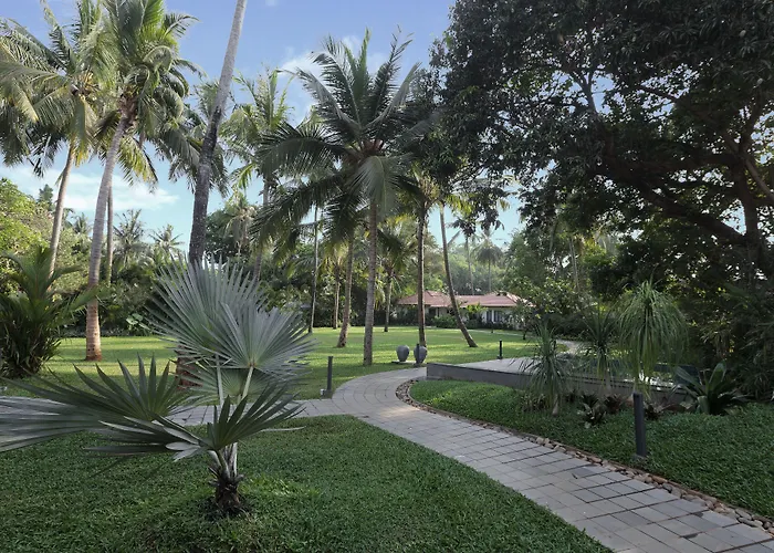 Andores Resort And Spa - Calangute
