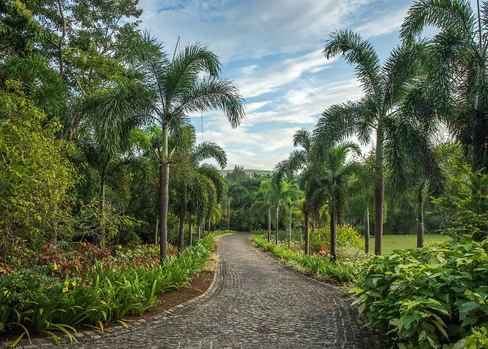 Kahani Paradise