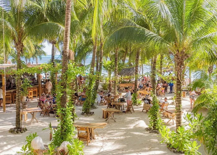 Mayan Monkey Isla Mujeres - Social Hotel (Adults Only)
