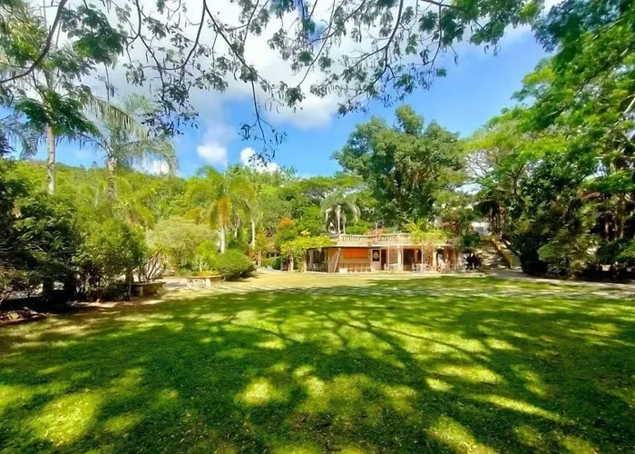 Momarco Forest Cove
