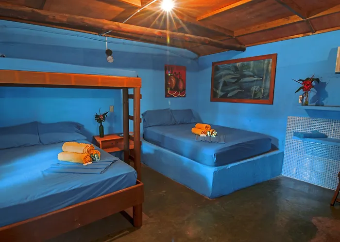 Hotel El Delfin