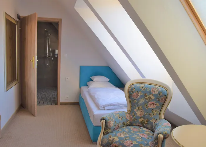 Hotel Paryski Art & Business Zakopane - Basen Jacuzzi Sauna Malpi Gaj