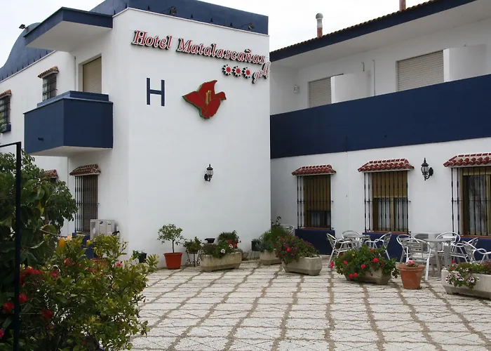 Hotel Matalascañas