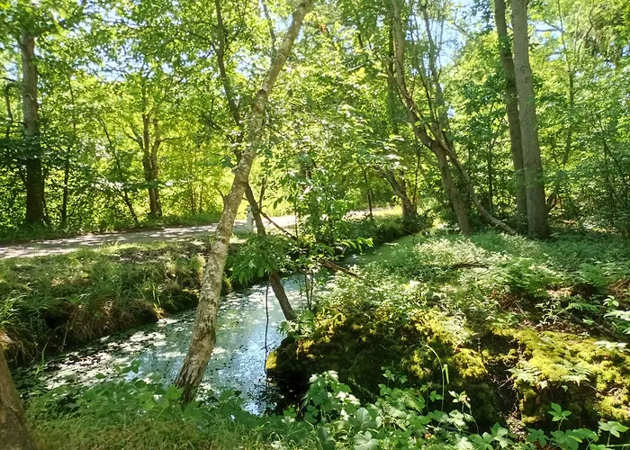 Hotel Schlösschen Sundische Wiese Zingst