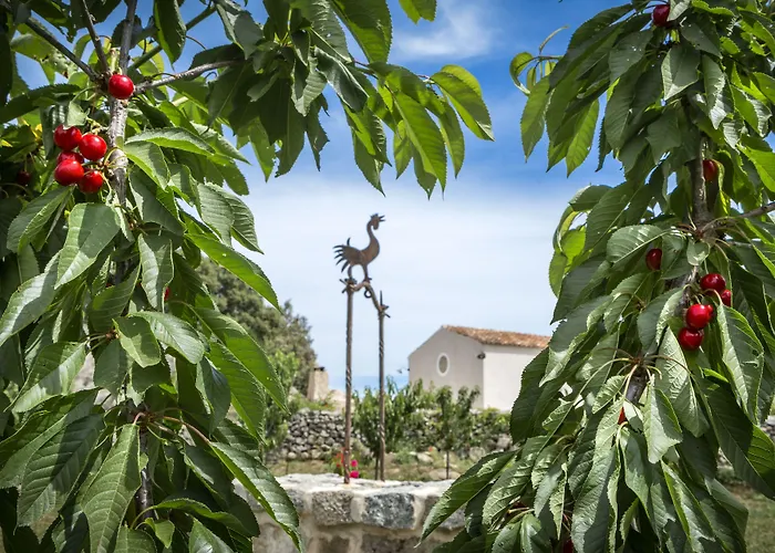 Gallicantu Stazzo Retreat
