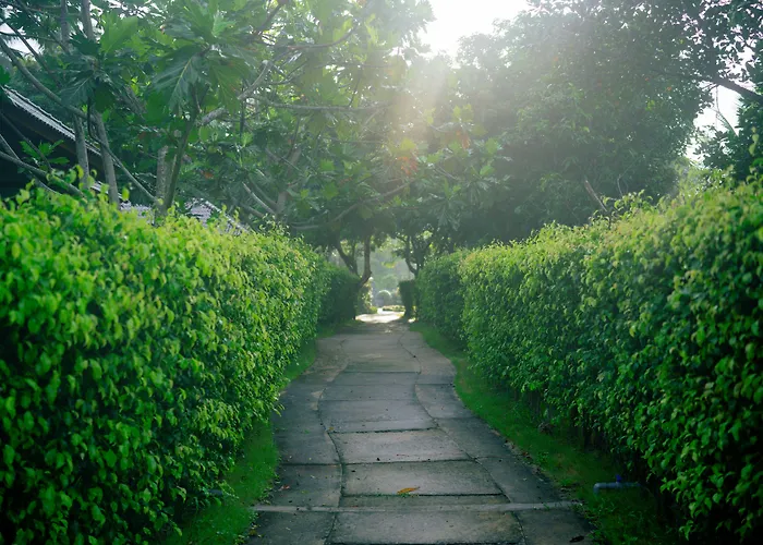 Emerald Garden Retreat