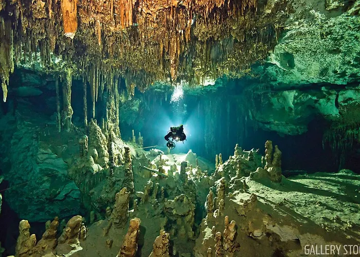 The Yellow Nest Tulum