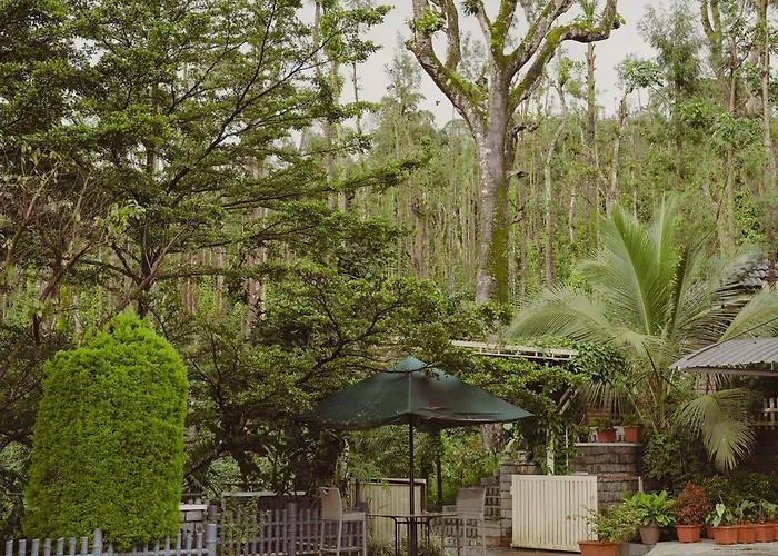 The Wild Rest Nature Resort