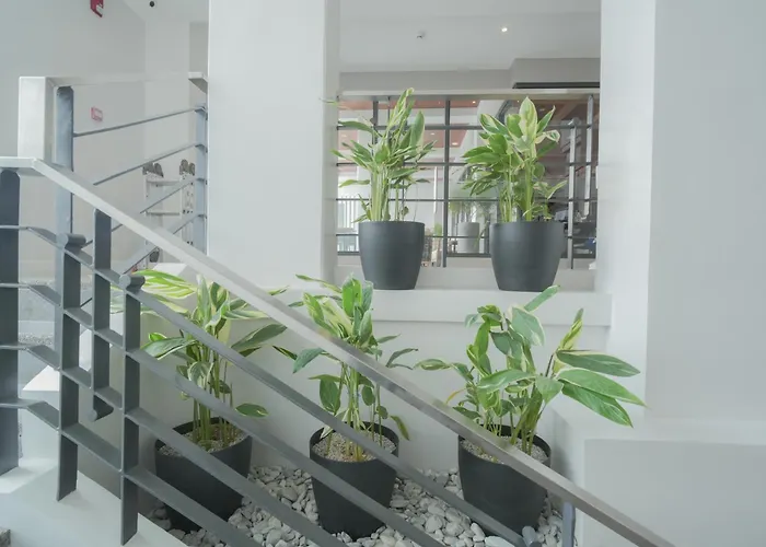 Dona Manor Boutique Hotel