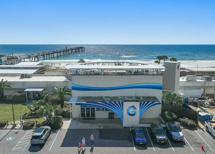 The Palms #501