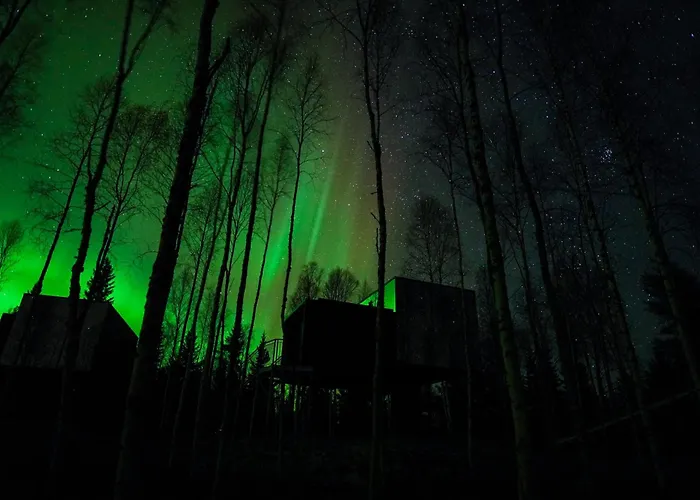 Silver Birch Resort Lapland