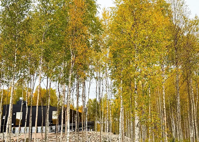 Silver Birch Resort Lapland