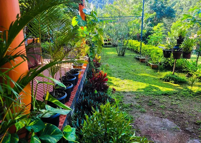 Chembani Holidays And Resorts Kanthalloor