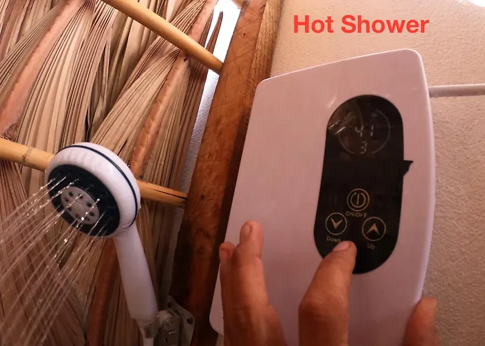 Aloha Surf Hostel