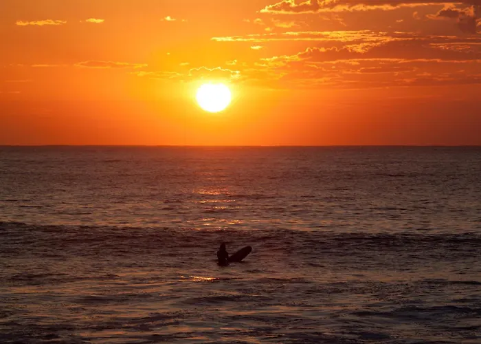 Aloha Surf Hostel