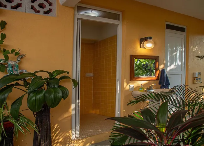 Hotel Zandoyo Bed & Breakfast
