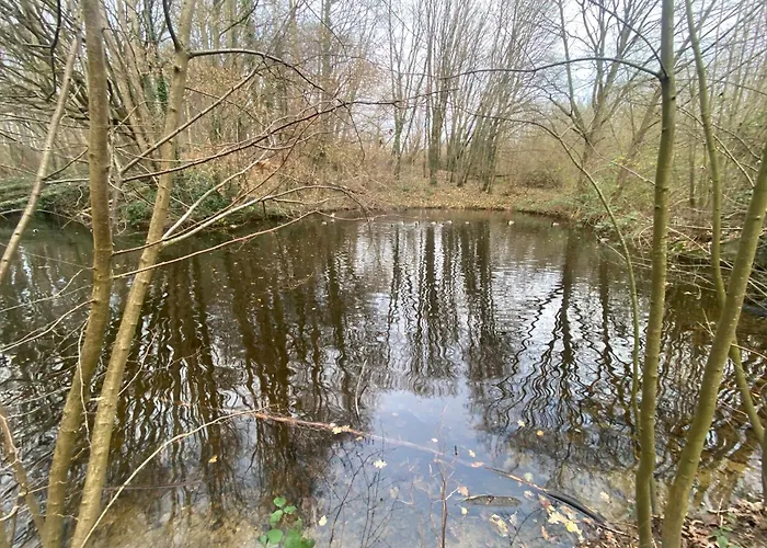 Oase mit Meerblick, Schwimmbad&nahe Hansapark, kostenlos Parken