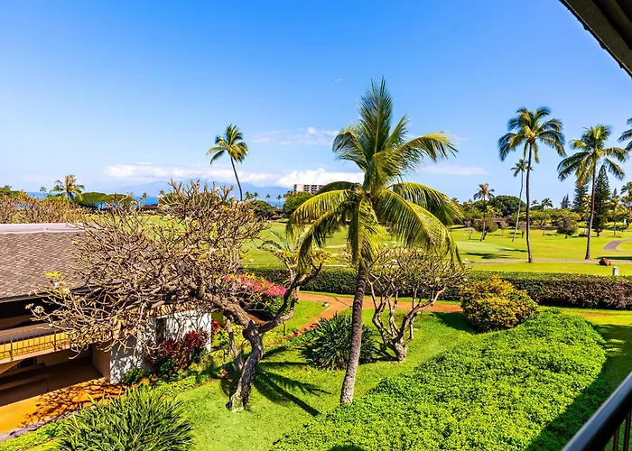 Maui Eldorado K211