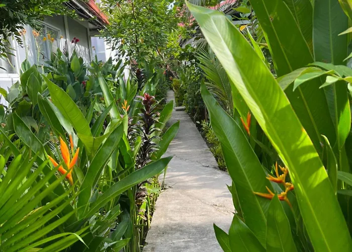 Siargao Residency - Generator & Starlink