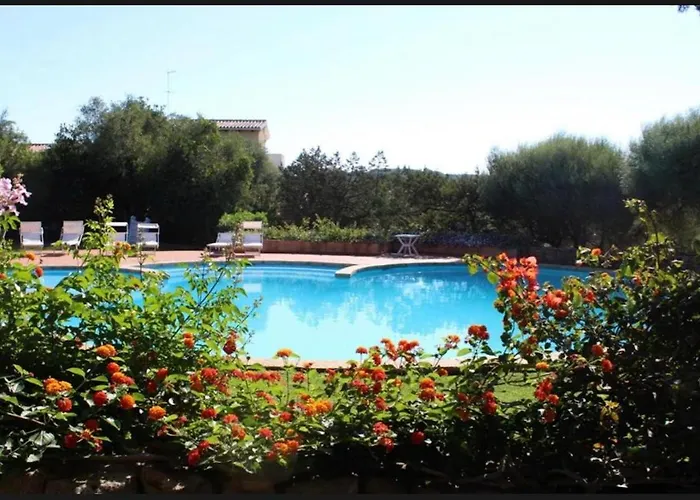 Conchiglia di mare Residence l'Aldiola - Porto Rotondo