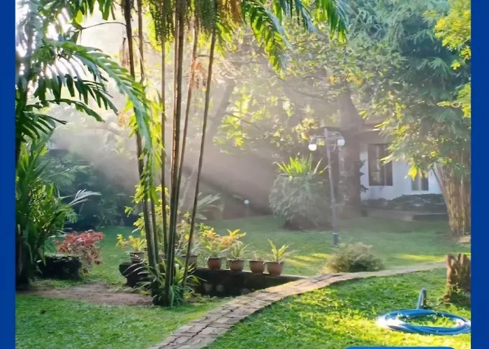Mango House Japanese Guest House