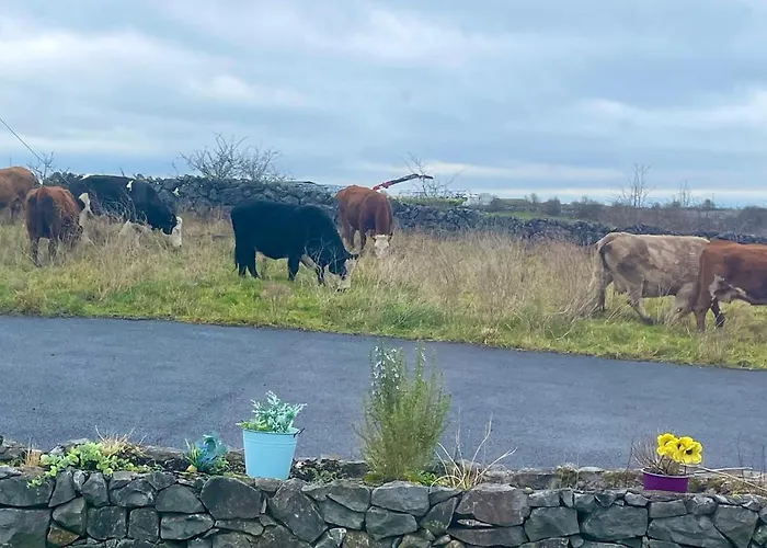 Tigh Noor - Escape To Kinvara By The Sea!