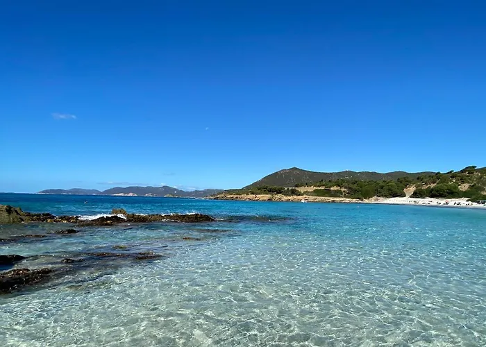 Villettadaisy, Chia