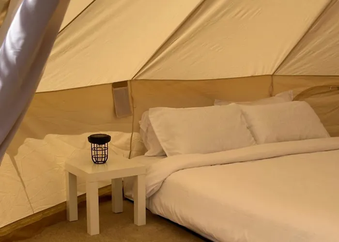 Gazelle Camp