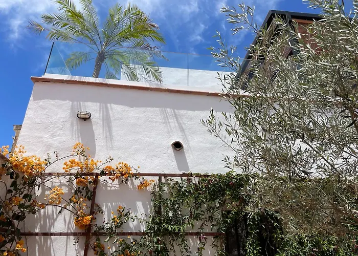 Casa Olivo Maro