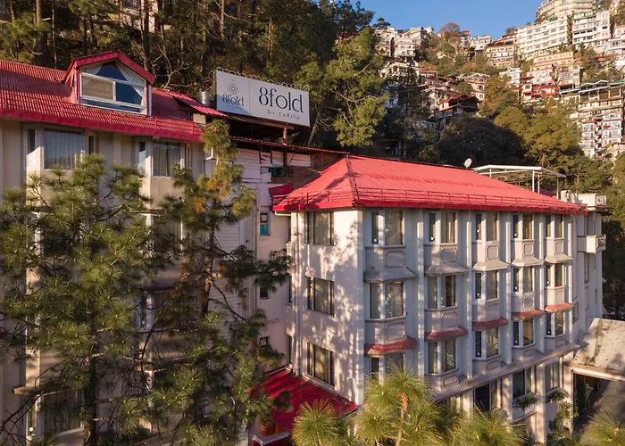 8Fold By Larisa, Shimla