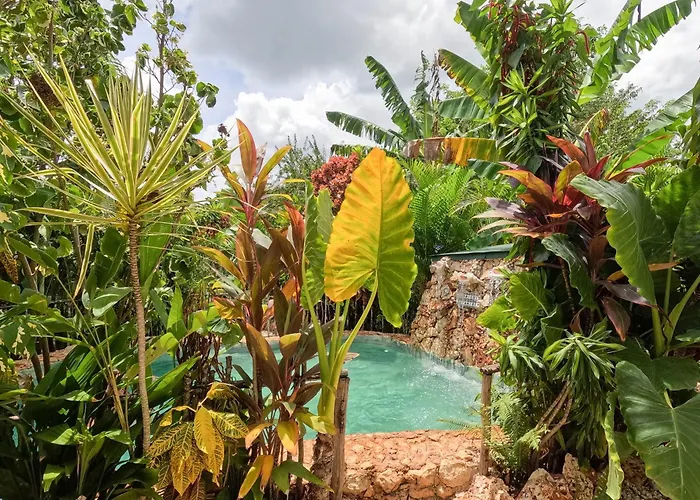 Guaiguei Bayahibe