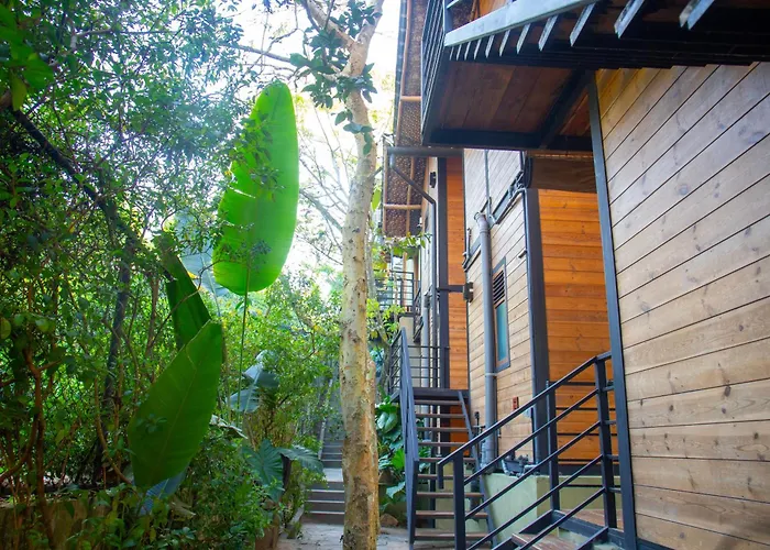 O2 Villas Ella