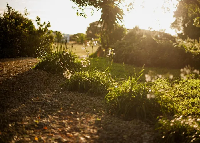 Springfontein Wine Estate