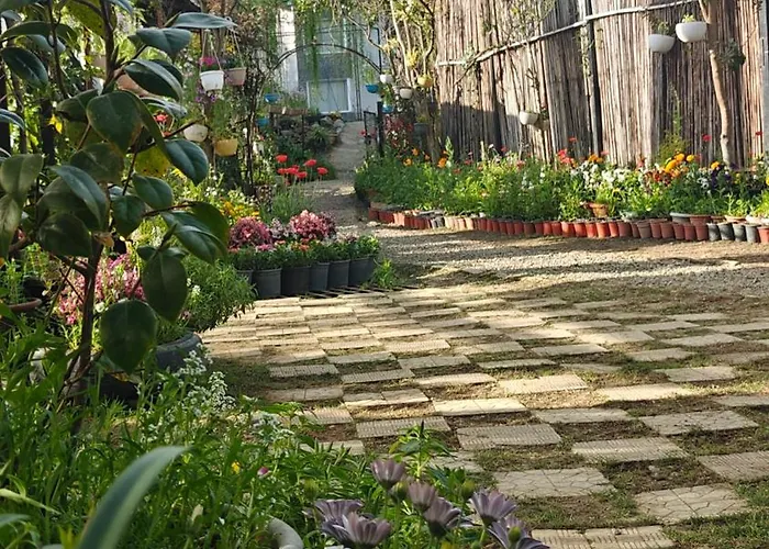 Cottages At Village Bhimtal-Naukuchiatal
