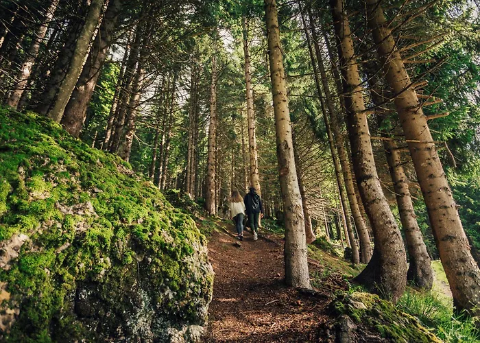 Torghele'S Wald & Fluh