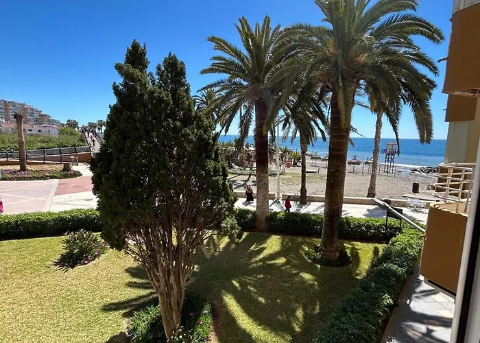 Las Palmeras