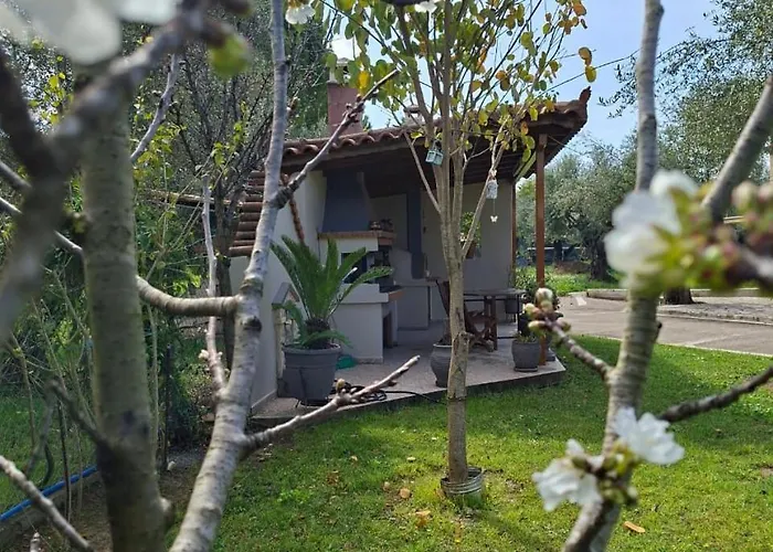 Vasiliki'S House Zacharo , 27054 , Ilias