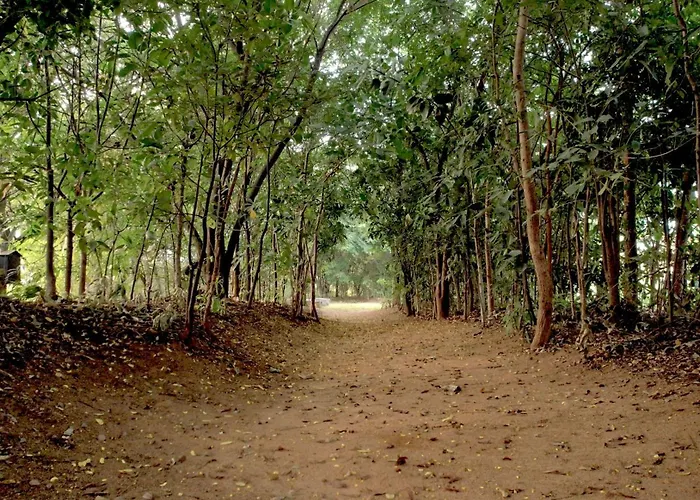 Arbor Road Estate