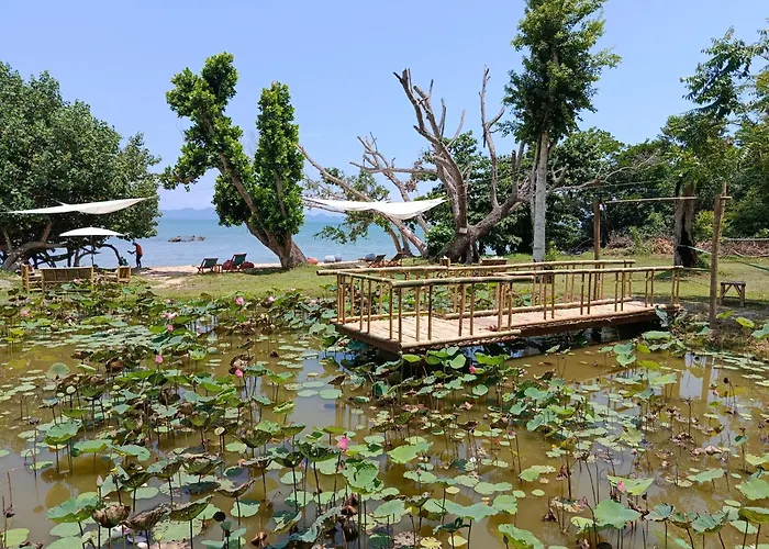 Natur - Krabi Campsite Glamping & Camping