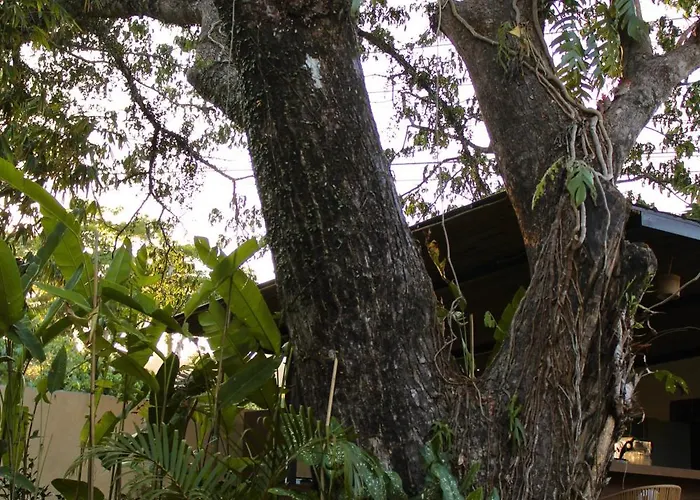 Mawari Sanctuary Villa El Nido