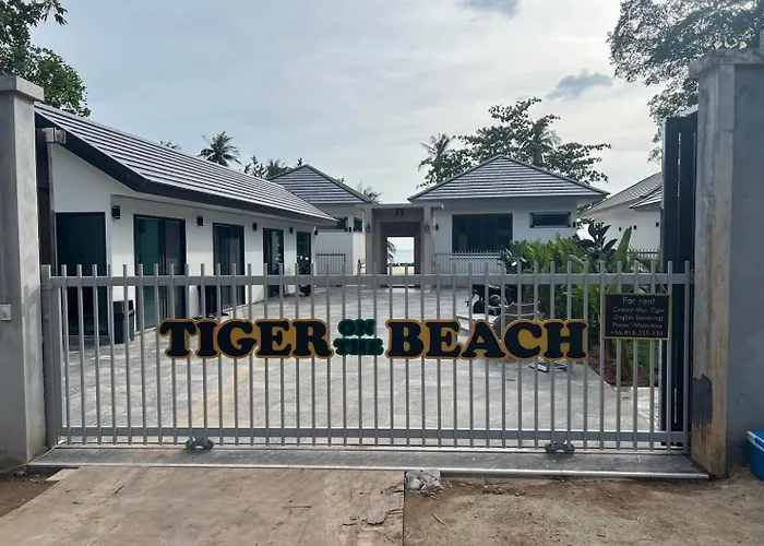 Tiger On The Beach