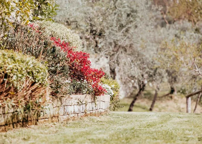 Agriturismo Missanega