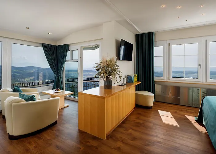 Uto Kulm - Top Of Zurich