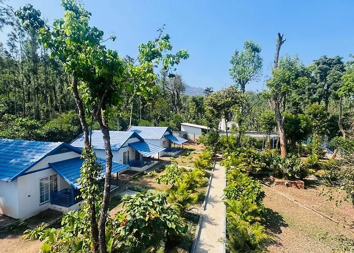 Shree Kalya Resort- Chikmagalur
