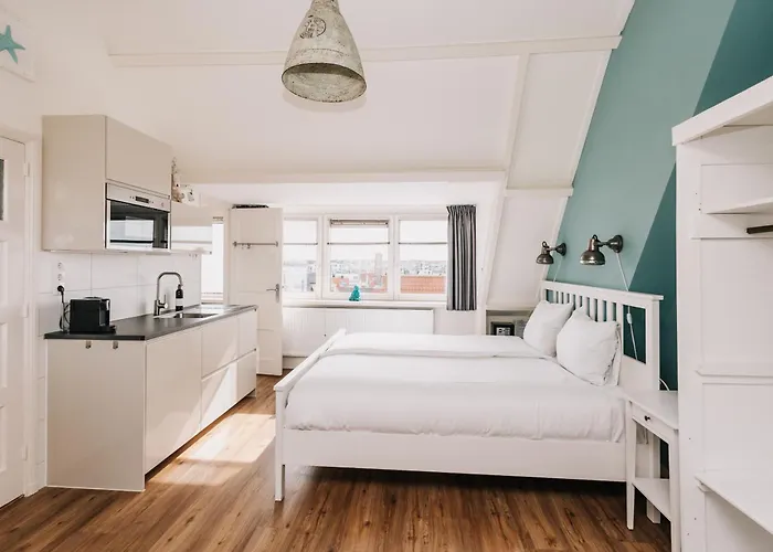 Divi Divi Zandvoort